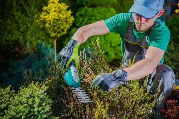 landscaping services Sodus Point